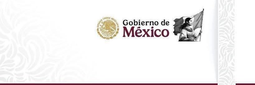 Ópera de Bellas Artes banner