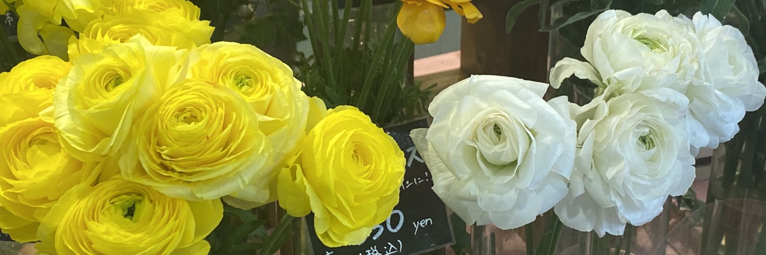 おかっぱ banner