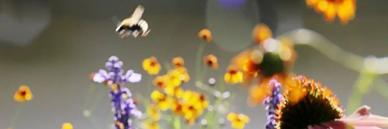 Cov2Sars's profile banner image