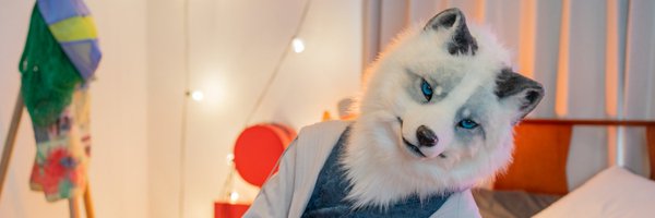 2ndNutsFox Profile Banner