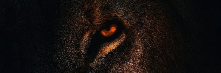 RondinaFranco's profile banner image