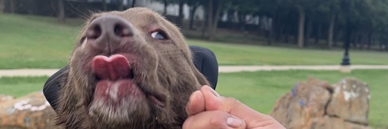 Alexis Garcia 🇲🇽 banner