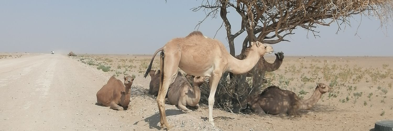 راشد البلوشي 🇴🇲 banner