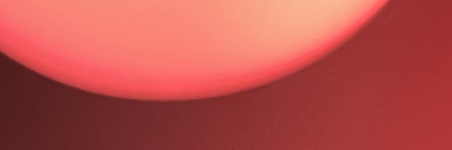 Guillermo banner