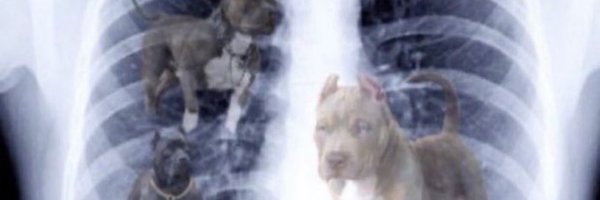 VELL645 Profile Banner