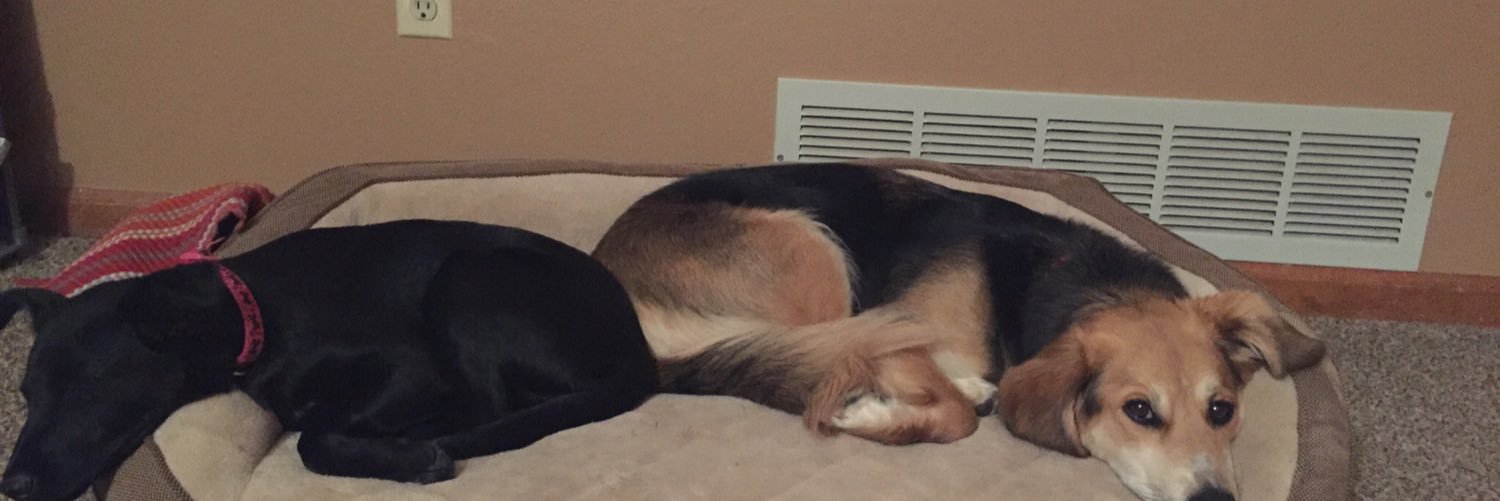 DaniMay43's profile banner image