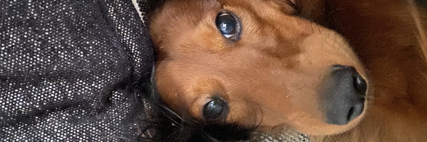 JaRodmin's profile banner image