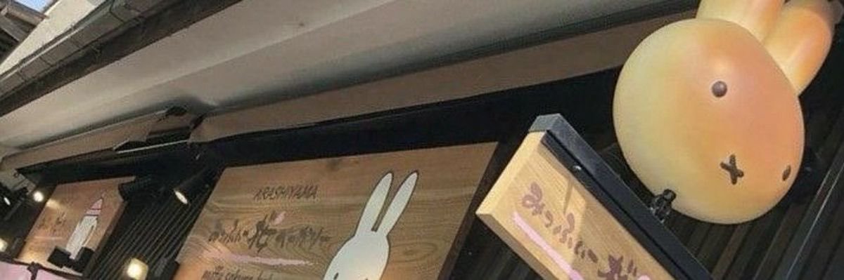 strwitt's profile banner image