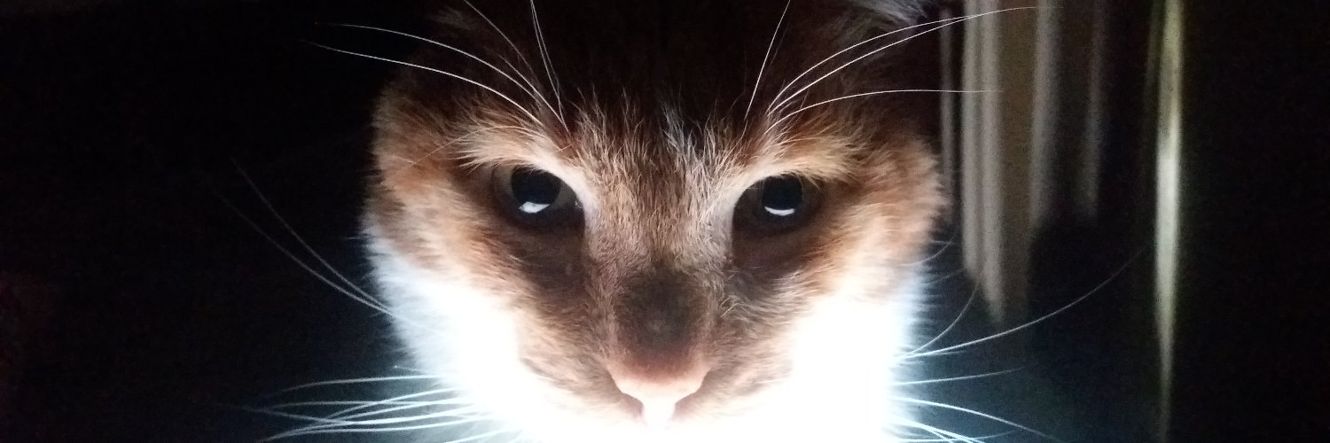 Maritza Espinoza banner