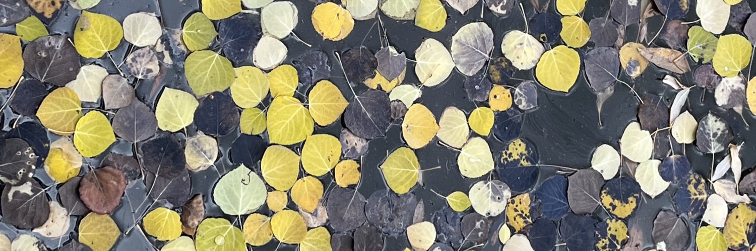 MattWFunk's profile banner image
