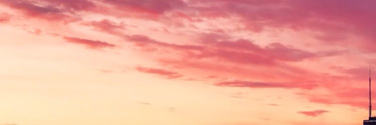 belluccinath's profile banner image
