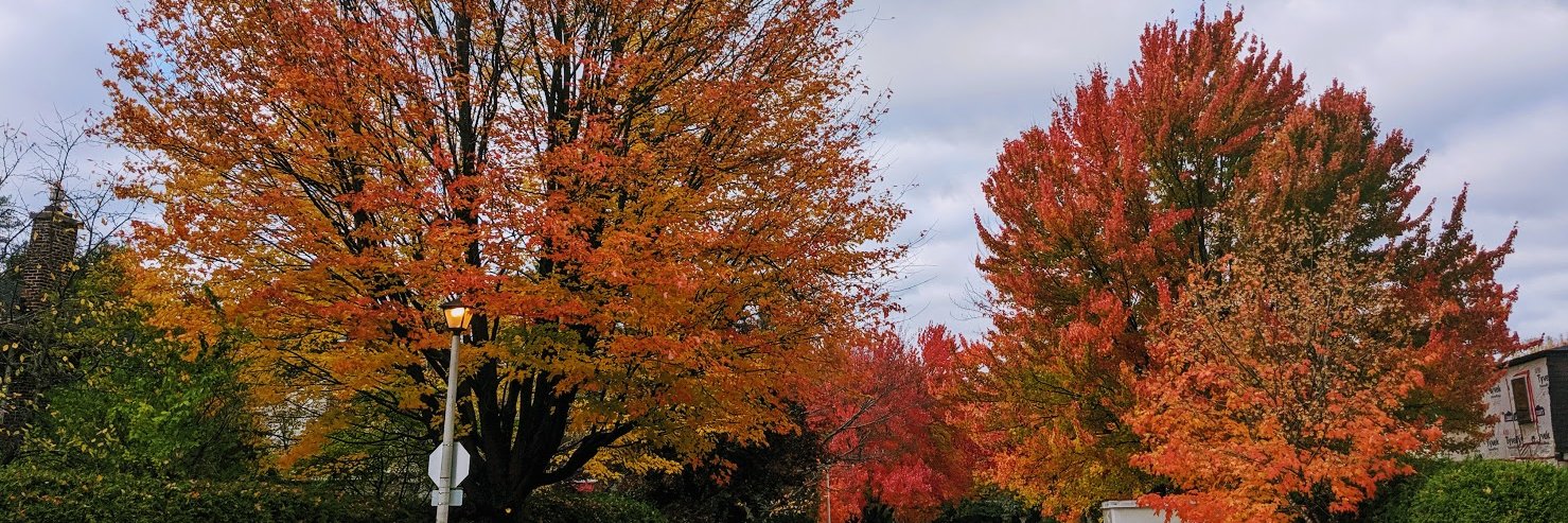 Rahul Chandran banner