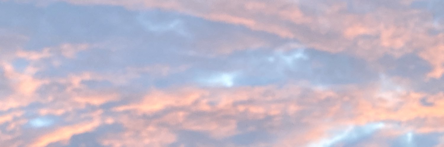 llingiee's profile banner image