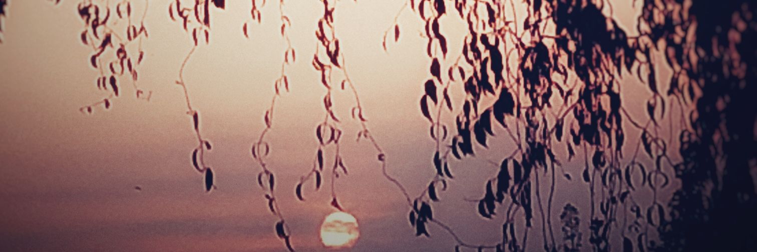 ppbetonm's profile banner image