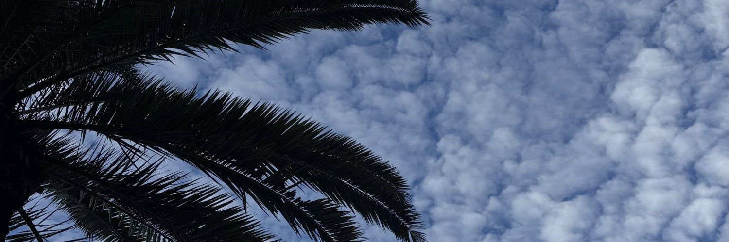 midizy's profile banner image