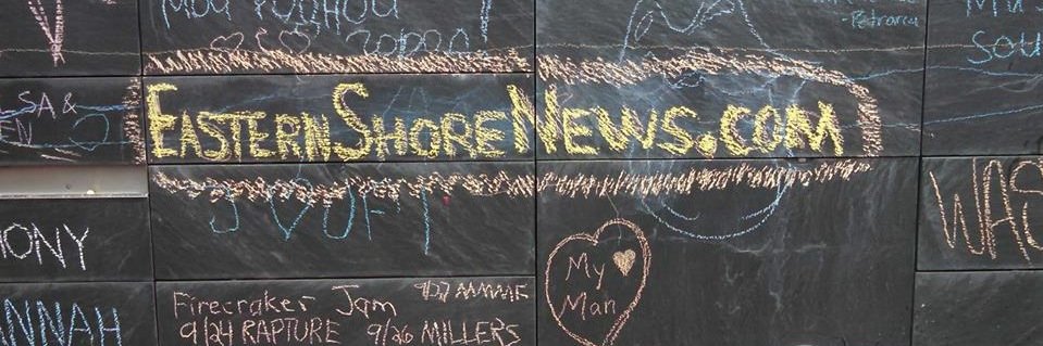 TheESNews's profile banner image