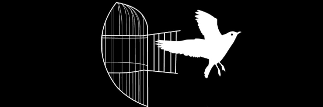 Azad | آزاد banner