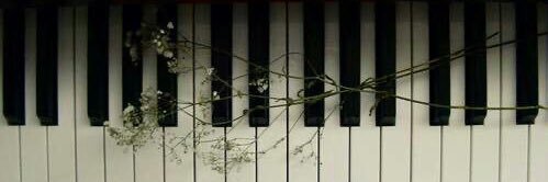 1iSong's profile banner image