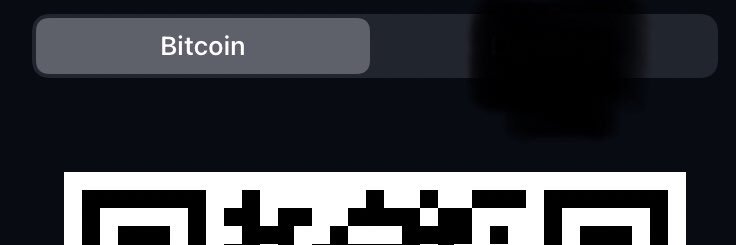 Weaponized Femboy (Government Sanctioned) banner