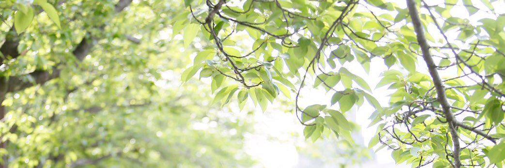 _kakoaya_'s profile banner image