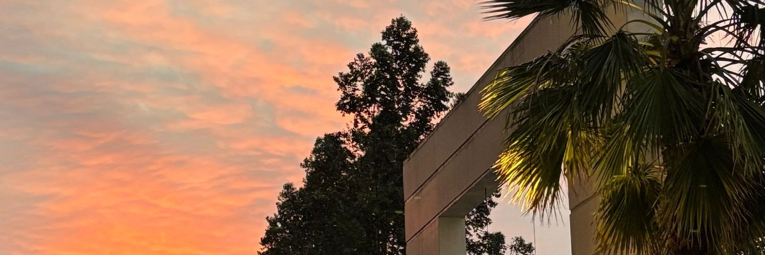 ⋆.𐙚 ̊ aby, mt after dm banner