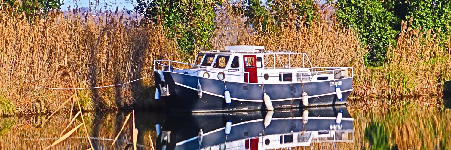Janinem90485041's profile banner image