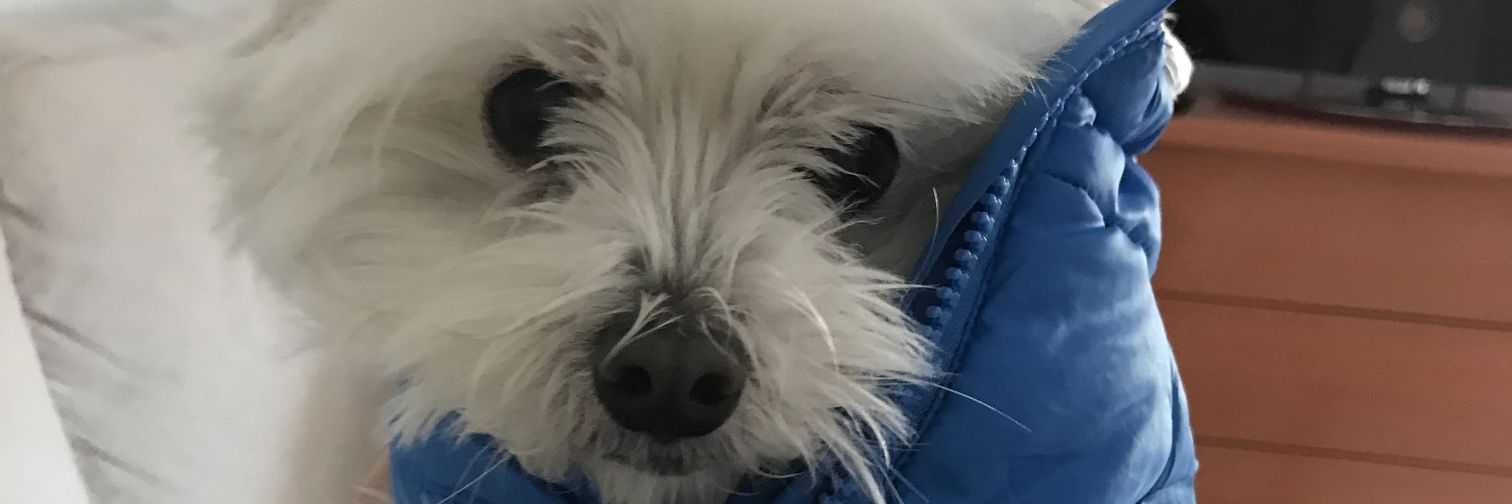 beasalda_99's profile banner image