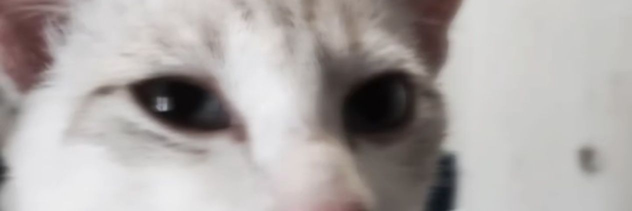 _feddd's profile banner image