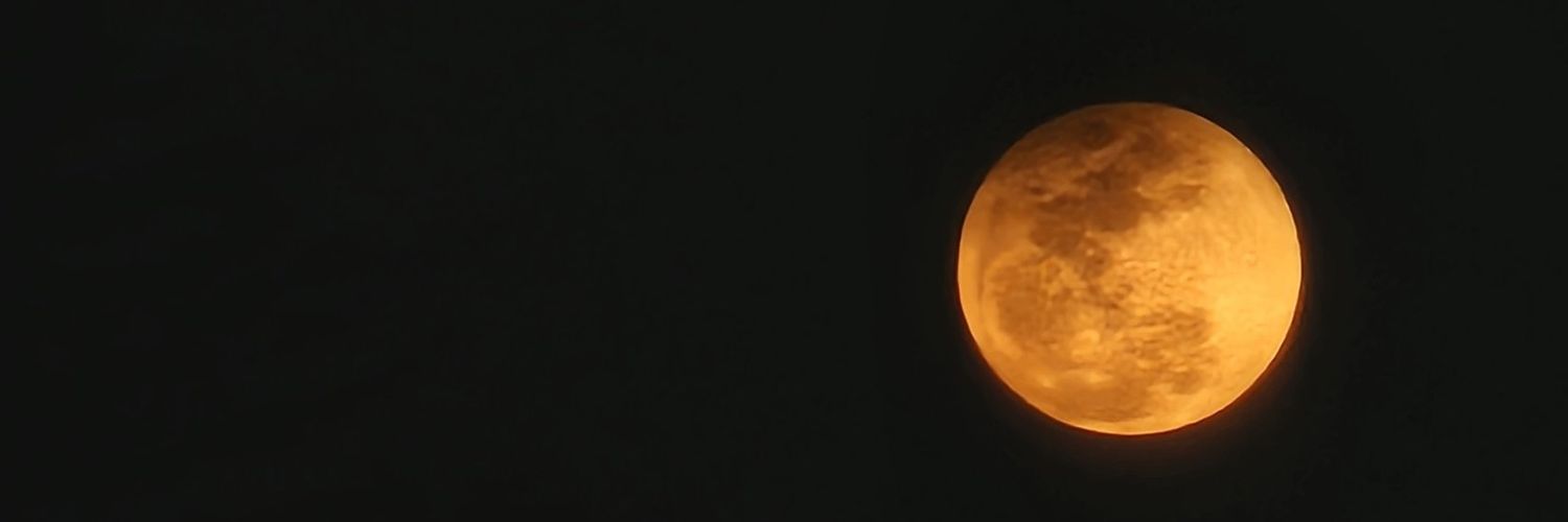 feykkullah's profile banner image