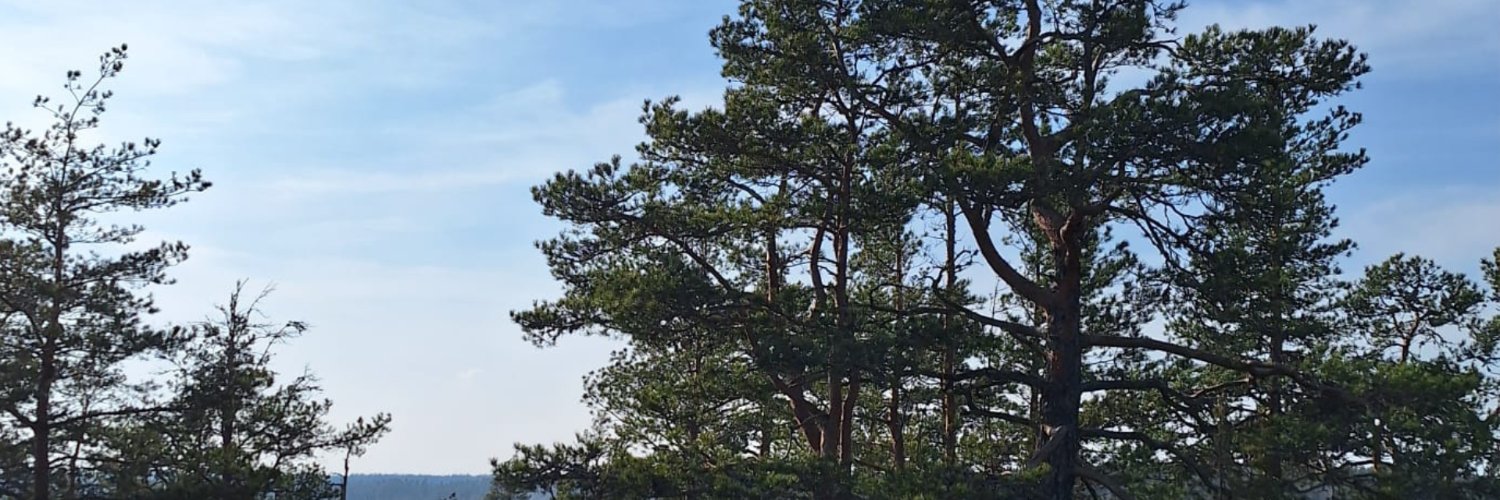 RonjaKarkinen's profile banner image