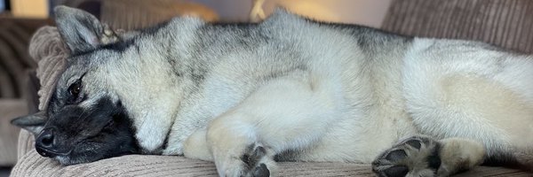 SgtMattB Profile Banner