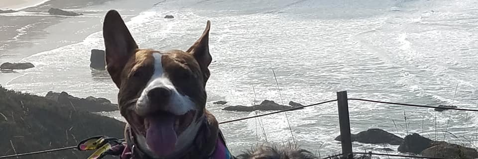 boldbanshe's profile banner image