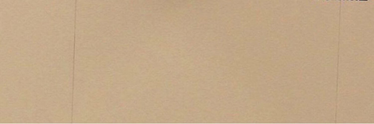 zarrypals's profile banner image