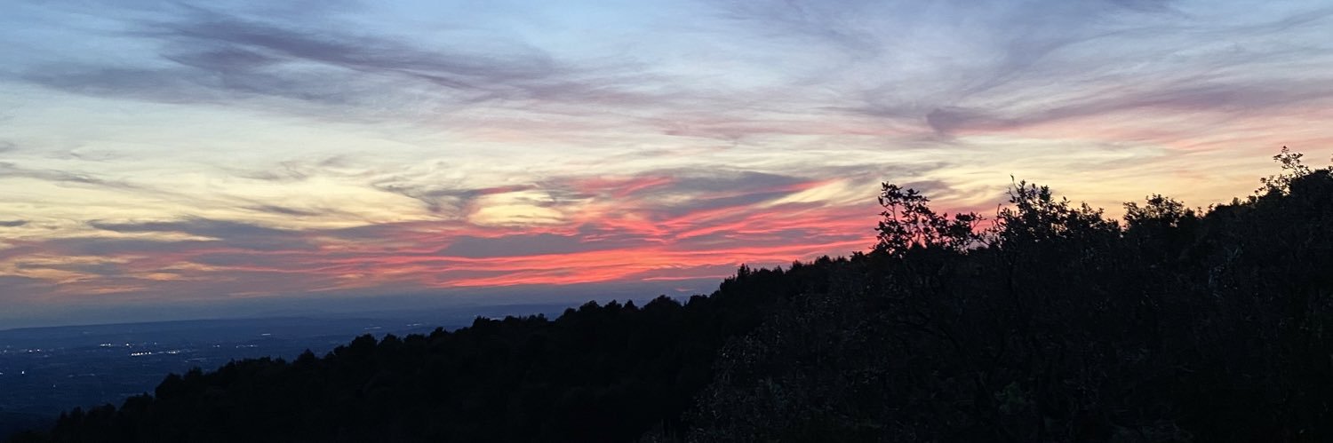 𝑺𝒂𝒓𝒂𝒉 banner