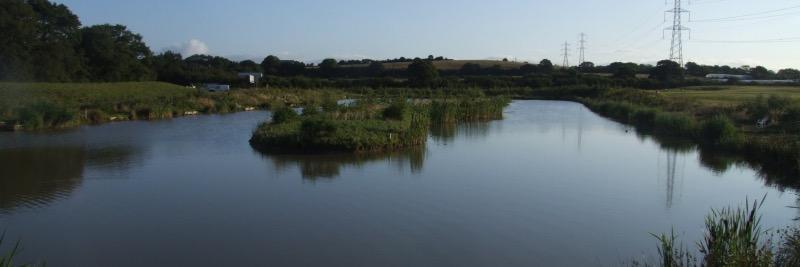 windmillfishery's profile banner image