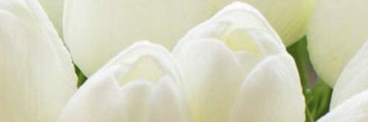 MMoon14fo's profile banner image
