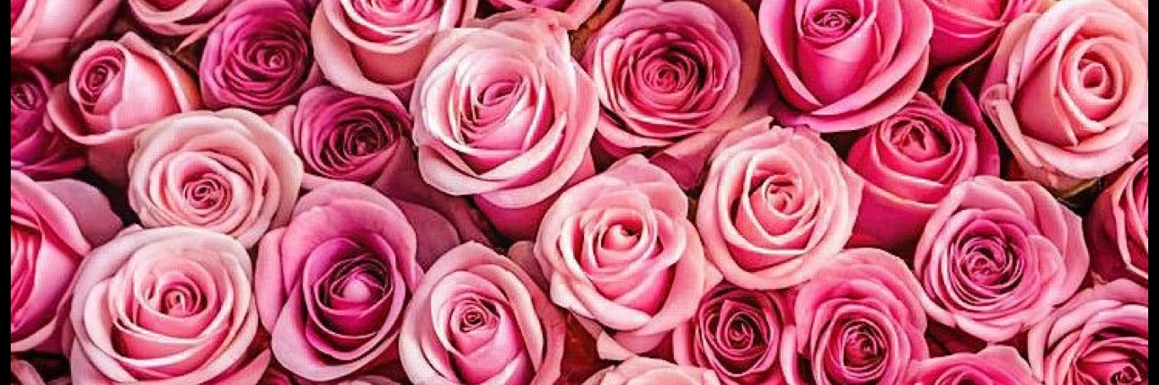 _lovetaaylor's profile banner image