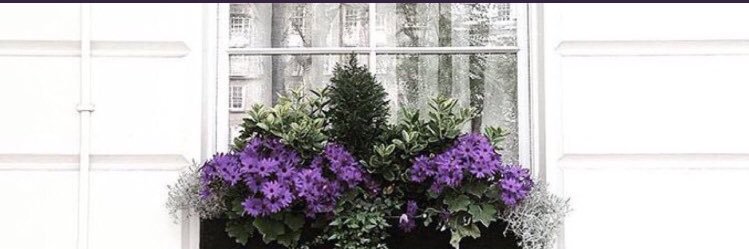 umans_x's profile banner image