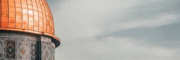 D_Aster_A's profile banner image