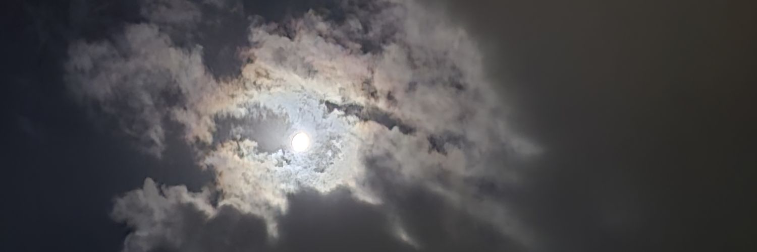 ilsu banner