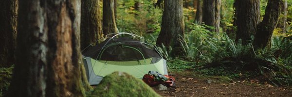 CampTrend Profile Banner