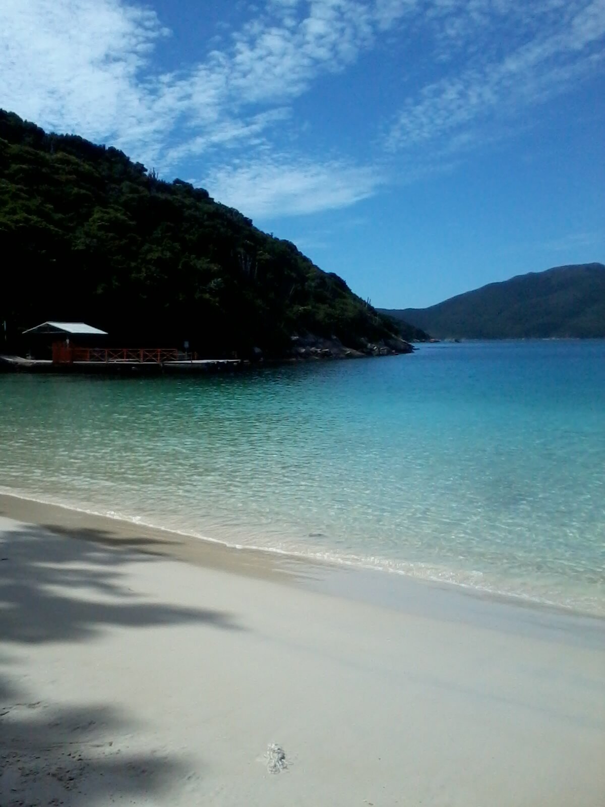 siluian's profile banner image