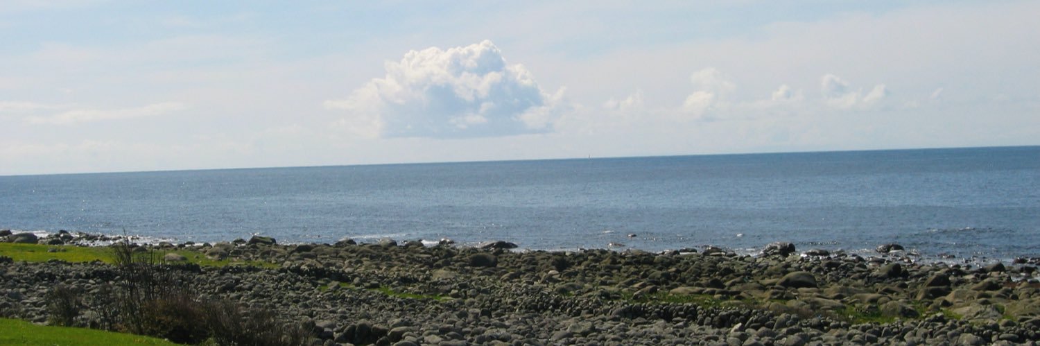 Toril Moi's banner