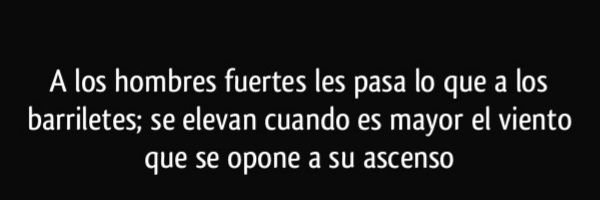 Leandro Fernández Suñer banner