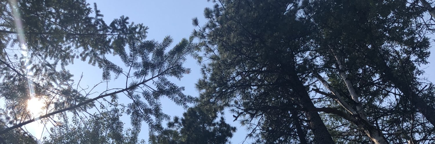 SaamSkinner's profile banner image