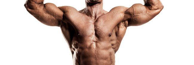 DomTopJocks's profile banner image