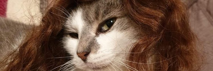brupassos2's profile banner image