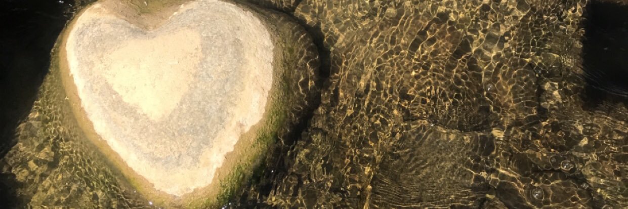 ناصر بن سعيد banner