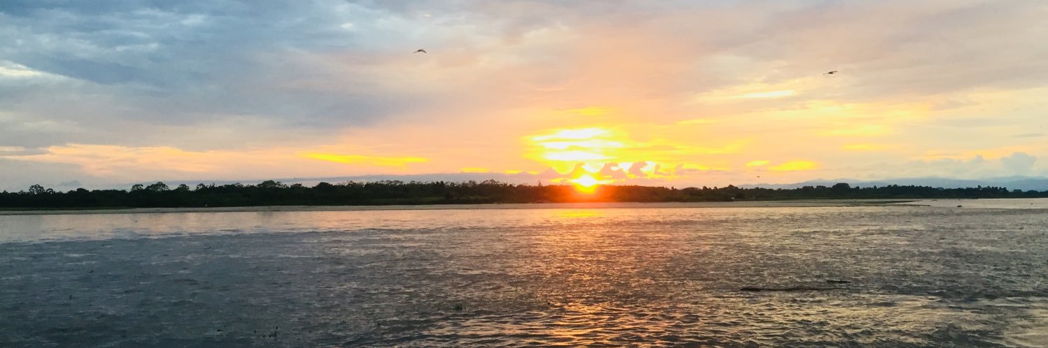 nanydavidson's profile banner image