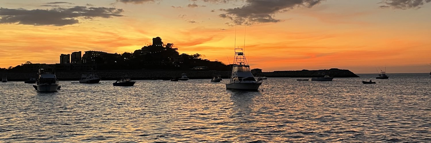 trish saemann banner